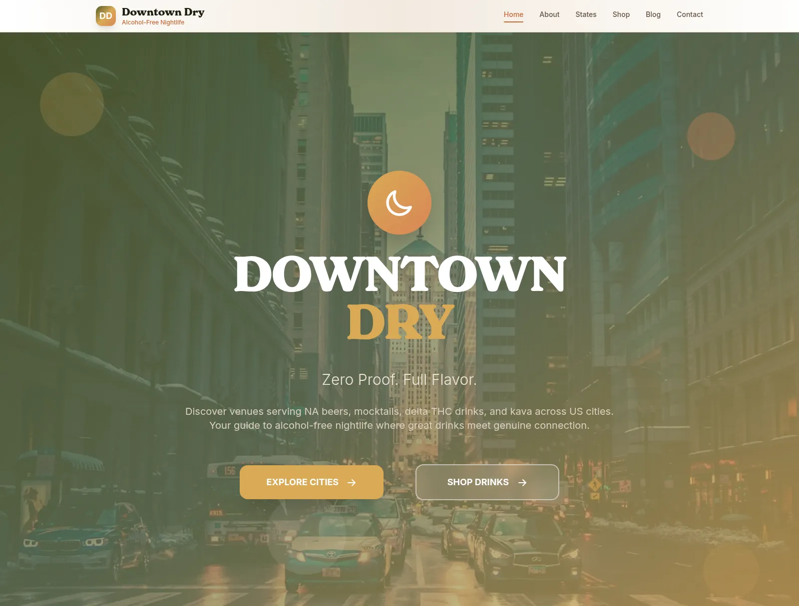 DowntownDry website screenshot